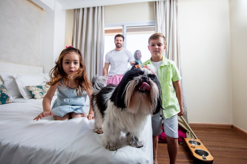 Pet Friendly — Superior Família